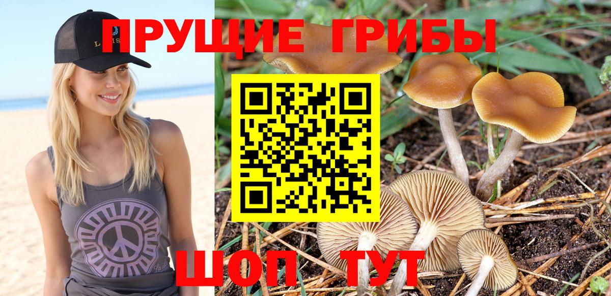 Псилоцибиновые грибы ЛСД Павлово