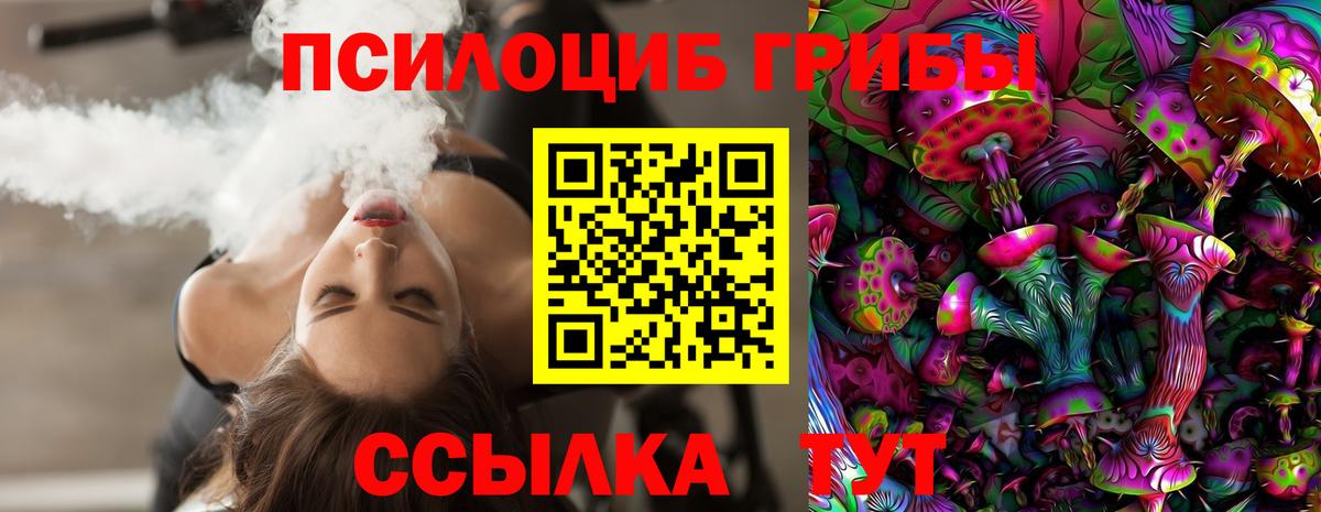Псилоцибиновые грибы GOLDEN TEACHER  Вход с VPN  Павлово 