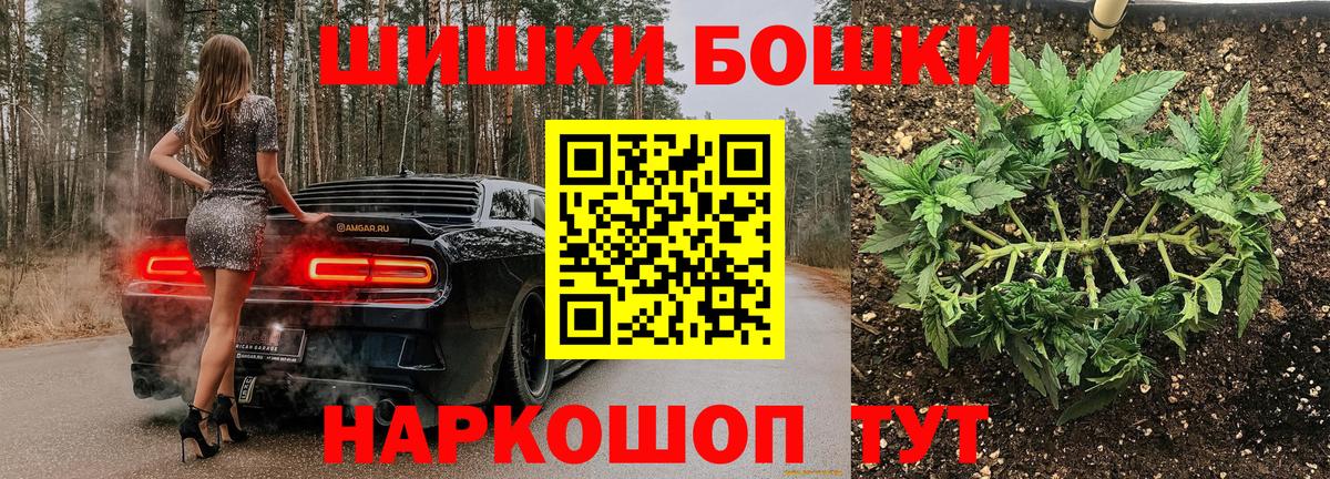 Бошки Шишки планчик Павлово